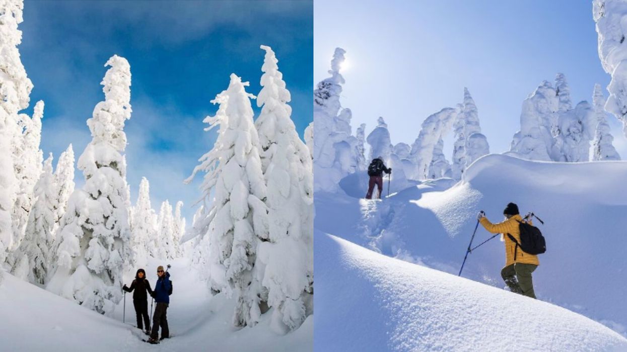You Can Snowshoe Through This Legit Winter Wonderland Less Than 3 Hours From Québec City