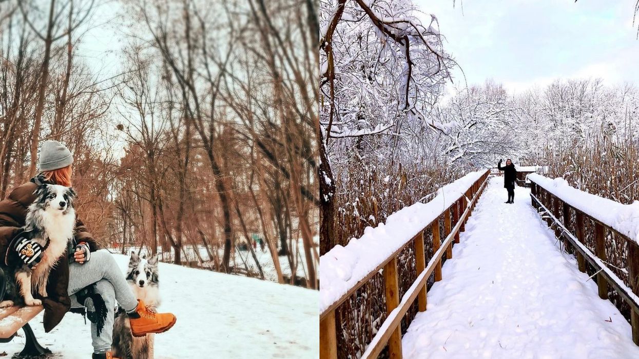 8 Winter Hikes In Toronto That Will Give Your Legs A Good Workout