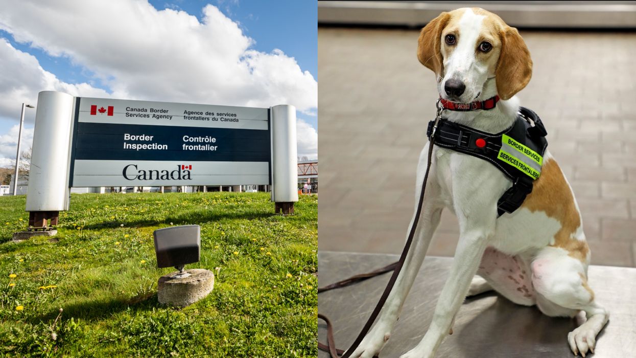 A Traveller In Canada Got Hit With A $1.3K Fine For Smuggling Secret Sausages (PHOTO)