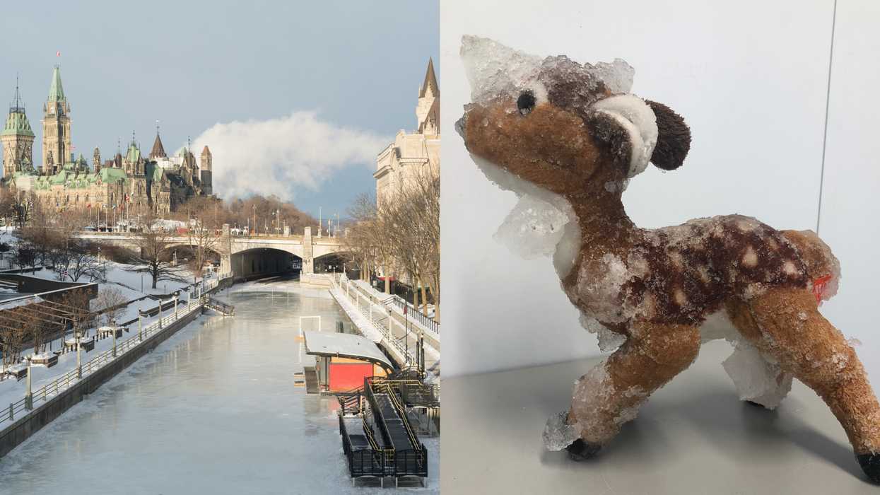 A Stuffed Reindeer Was Heroically Rescued After Tumbling Onto The Rideau Canal