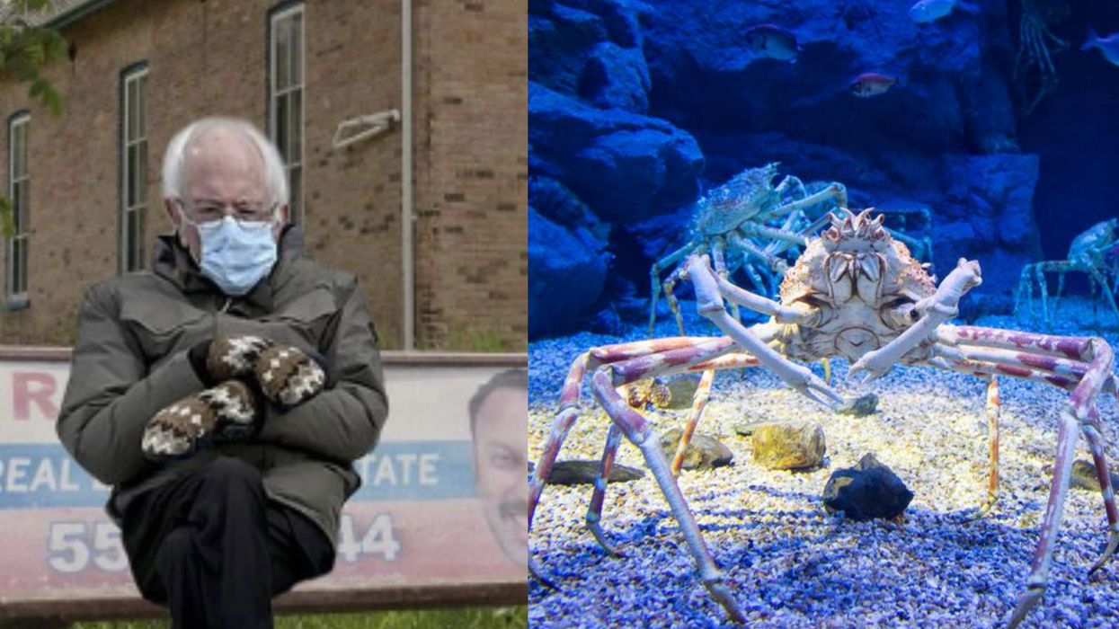 This Scientist Is Using The Bernie Sanders Meme To Help Make Learning Fun
