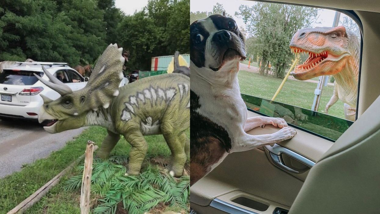 You Can Roam With Massive Dinosaurs At Ontario's New Prehistoric Park This Spring