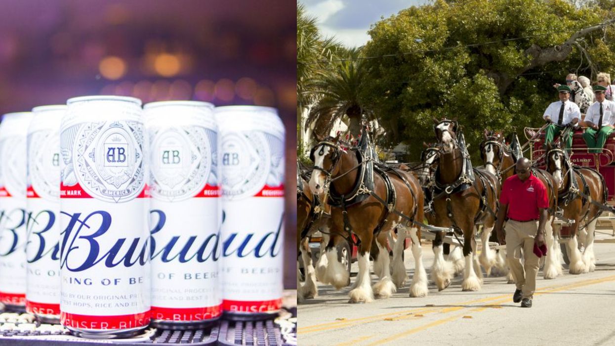 You Won't See A Budweiser Super Bowl Ad This Year For A Good Reason (VIDEO)