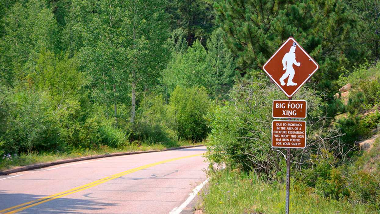 An Official Bigfoot Hunting Season May Soon Be Coming To Oklahoma