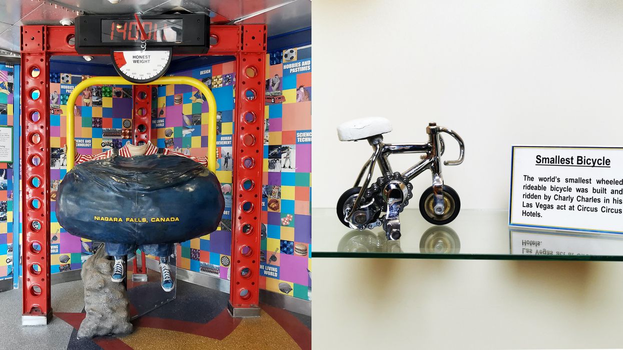 9 Incredible Things You Can Bid On At Ontario's Guinness World Records Auction Right Now