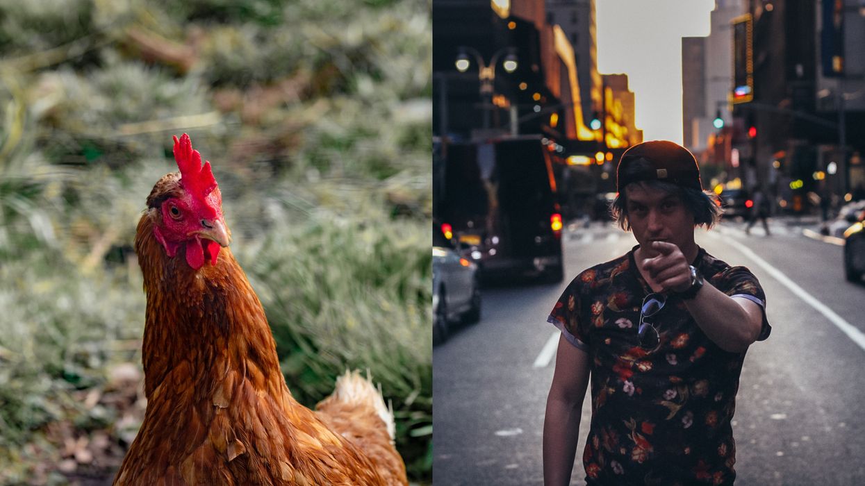 A Viral PETA Tweet Is Telling You To Stop Calling People Snakes & Chickens