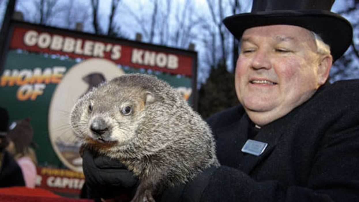 Groundhogs Across The Country Can't Agree On Early Or Late Winter Predictions