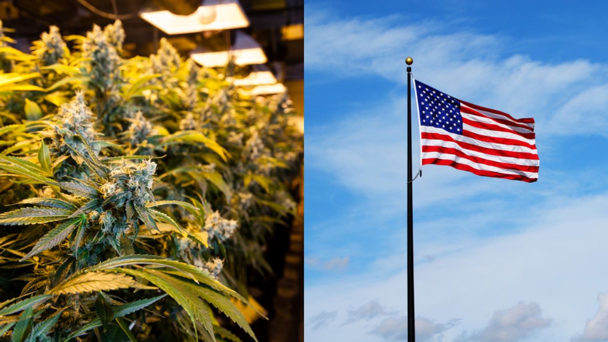 Democrats Are Pushing To Legalize Weed At The Federal Level This Year