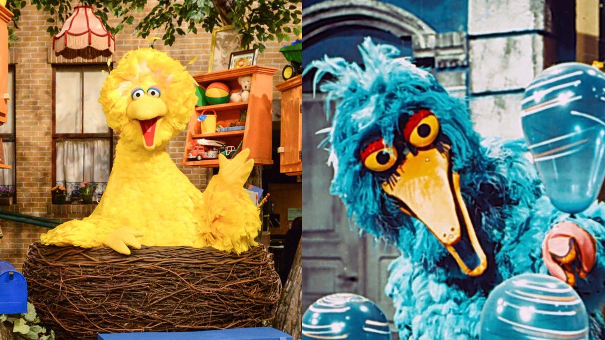 Big Bird Is Going Viral Because Of His Scary Cousin & It's A Nostalgic Nightmare (PHOTO)