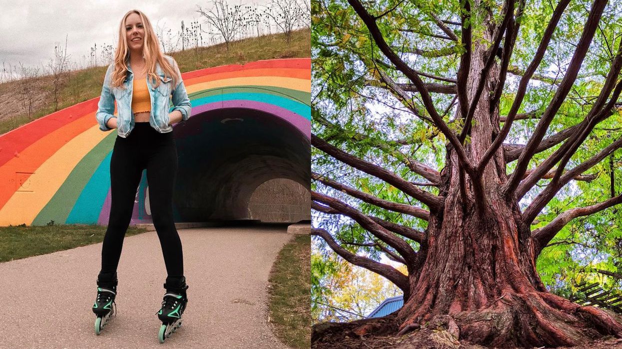 9 Unique Gems You Can Discover On Your Next Walk Around Toronto