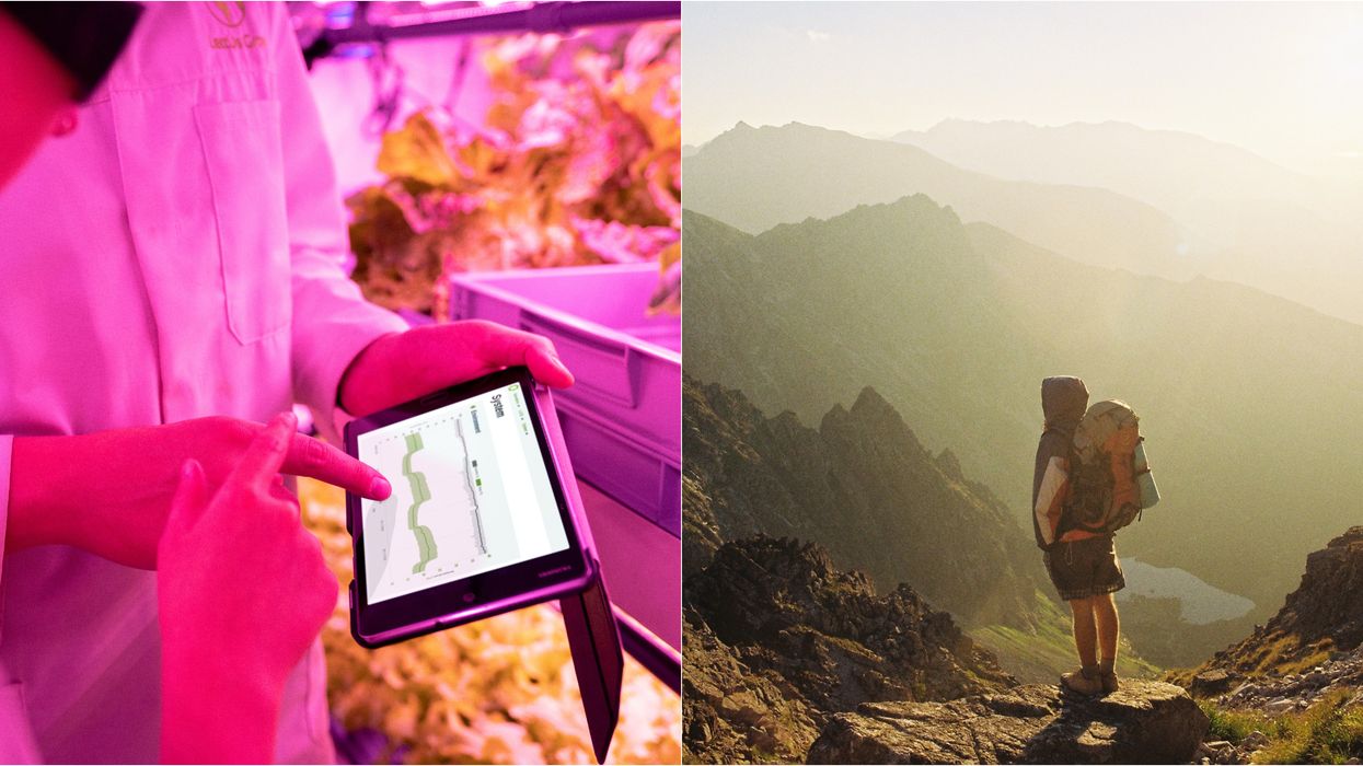 Cette carrière est parfaite pour les anticonformistes et voici pourquoi