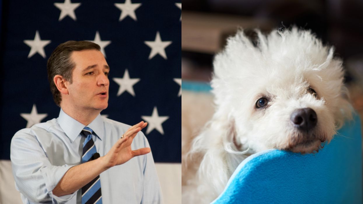 Ted Cruz Left Someone Very Special Behind For Cancun & People Are Very Upset