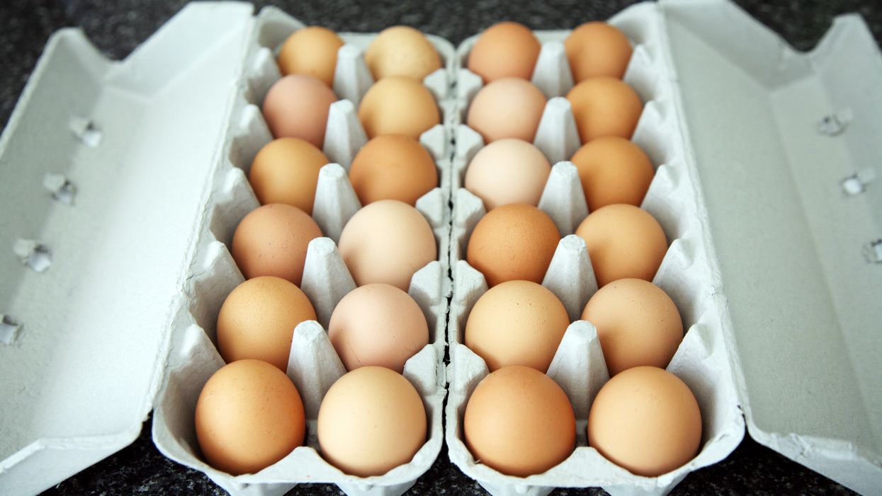 A Salmonella Outbreak Has Been Announced In 2 Provinces & It's Coming From Eggs