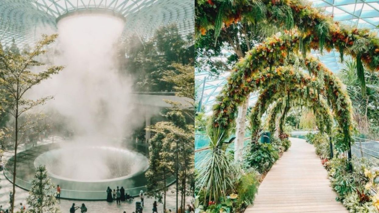 The World's Best Airport In Singapore Will Take Your Breath Away (PHOTOS)