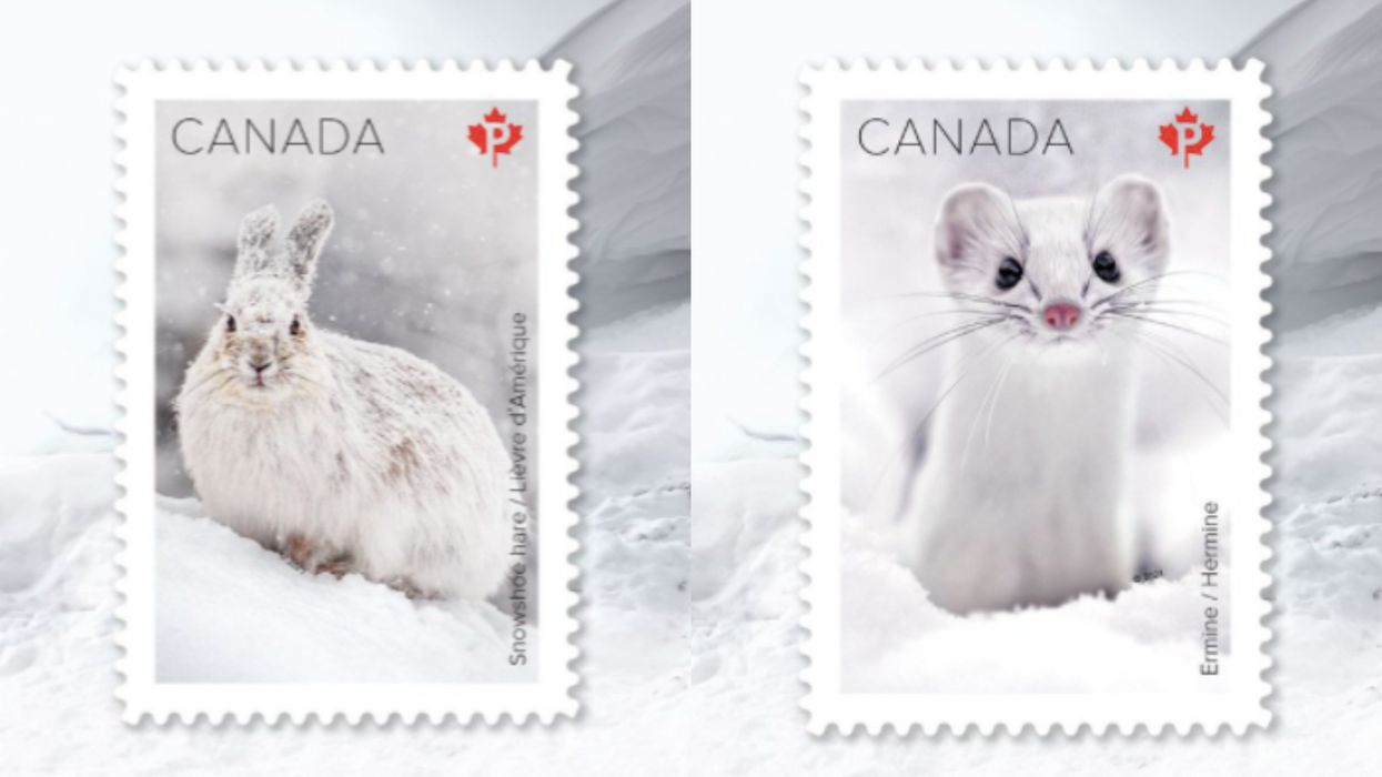 Canada Has The Most Adorable & Rare Winter Mammals Being Featured On Stamps Right Now