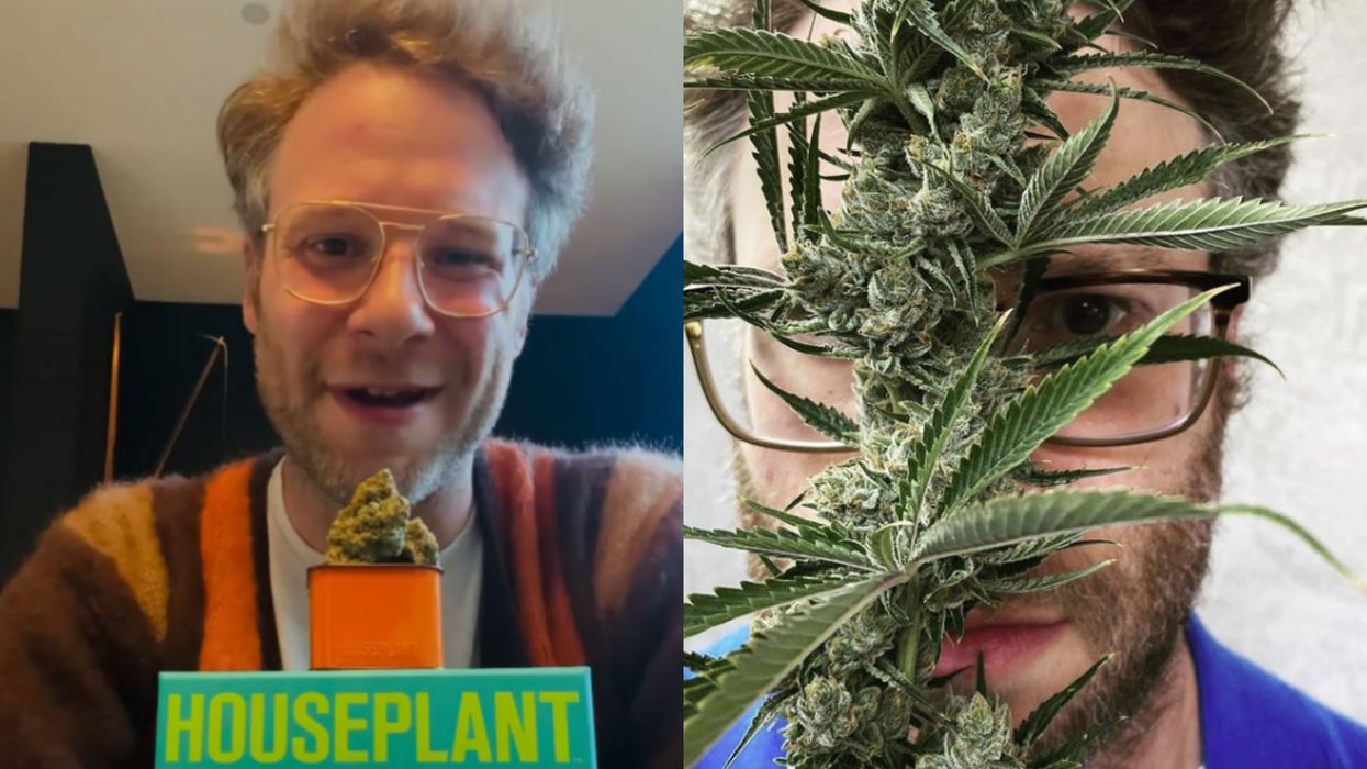 Seth Rogen and Evan Goldberg Are Bringing Their Weed Company To The US