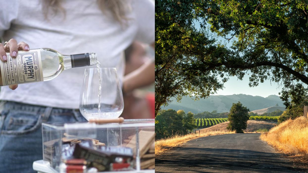 Ce vignoble californien offre un emploi à 10 000$/mois et les Québécois peuvent postuler