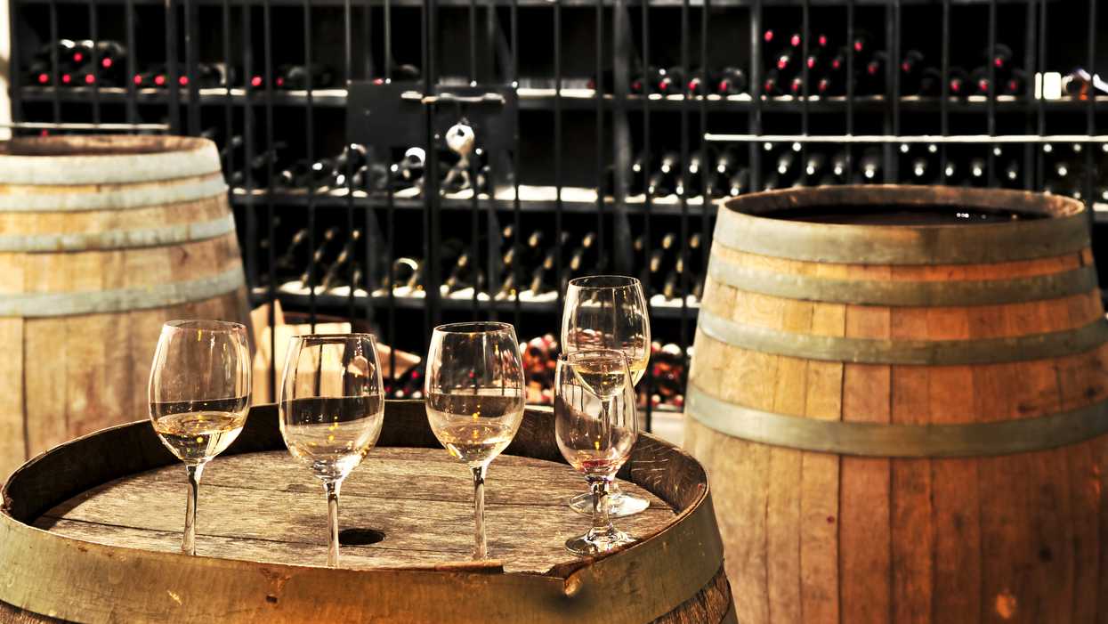 You Can Get Paid $10,000 A Month To Drink Wine In Sonoma Wine Country