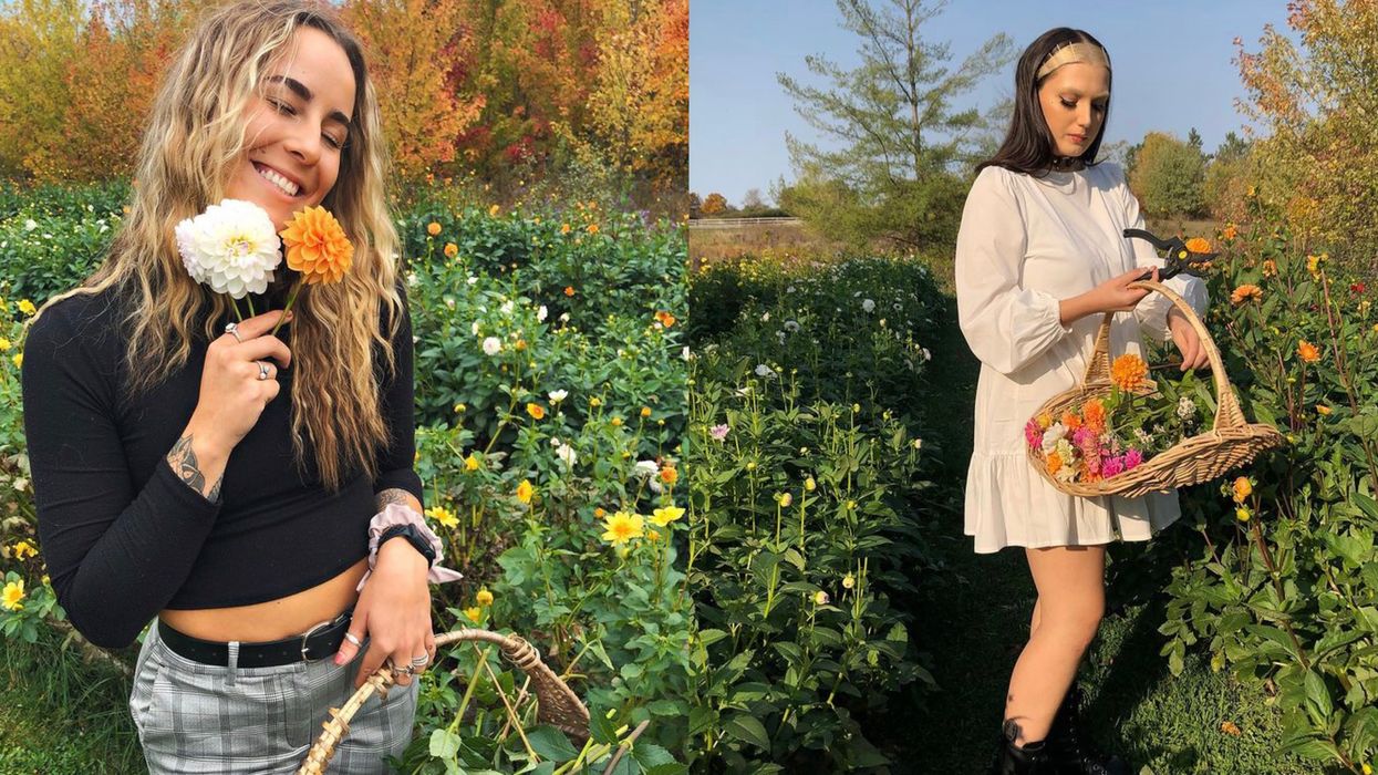 This Pick-Your-Own Flower Farm Near Toronto Opens Soon & It’s Dreamier Than A Fairytale