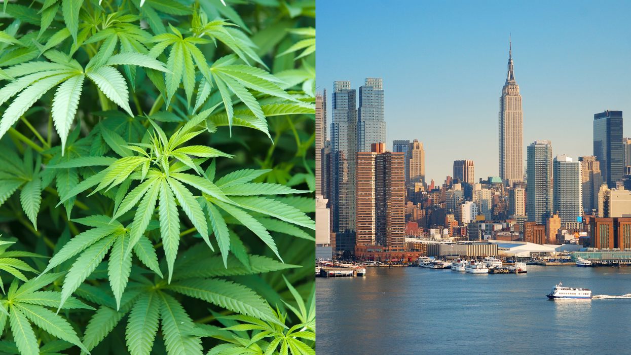 New York State Just Legalized Recreational Marijuana