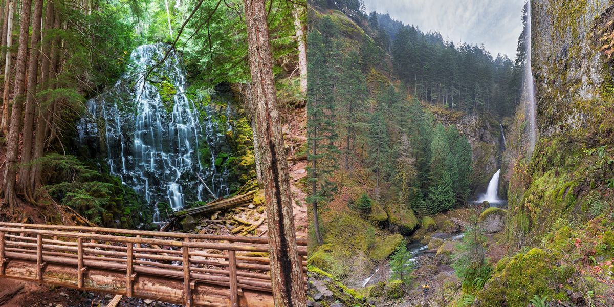 7 Gorgeous Hikes Near Portland That Make For The Perfect Spring Daytrip ...