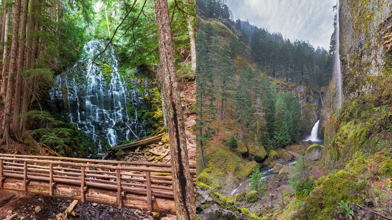 7 Gorgeous Hikes Near Portland That Make For The Perfect Spring Daytrip Adventure