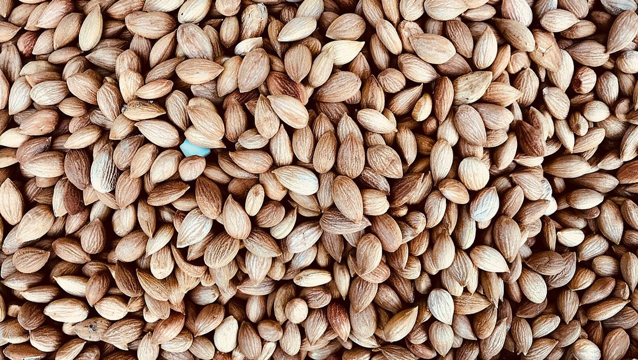 Even More Food Is Being Recalled In Canada Because It May Cause Cyanide Poisoning