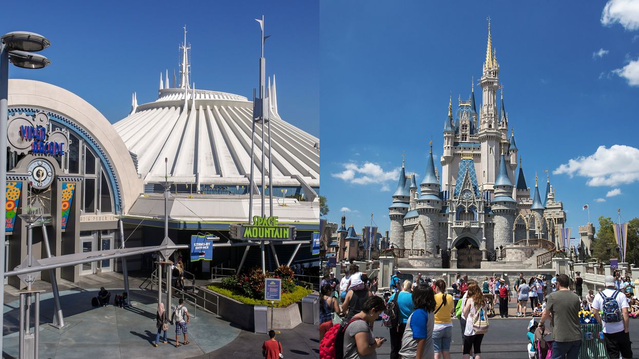 Here Are The 9 Best Disney World Rides According To Each State In The US