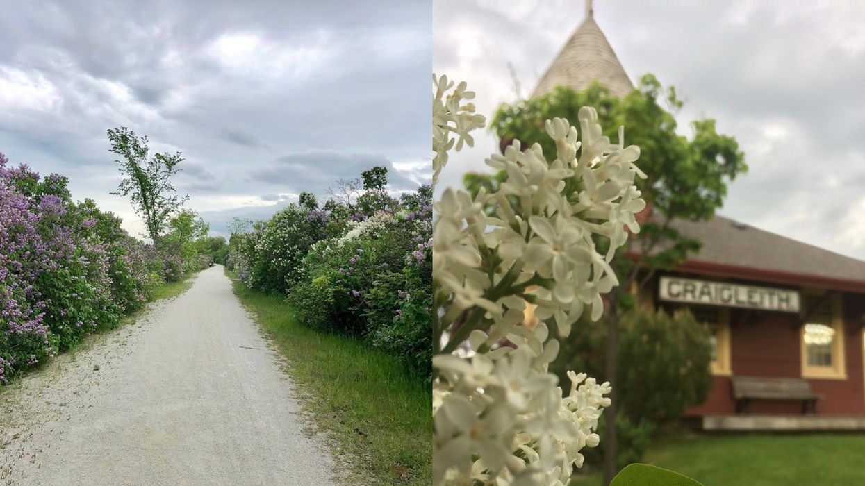 You Can Wander Through A Lilac Dreamland At This Waterfront Trail In Ontario