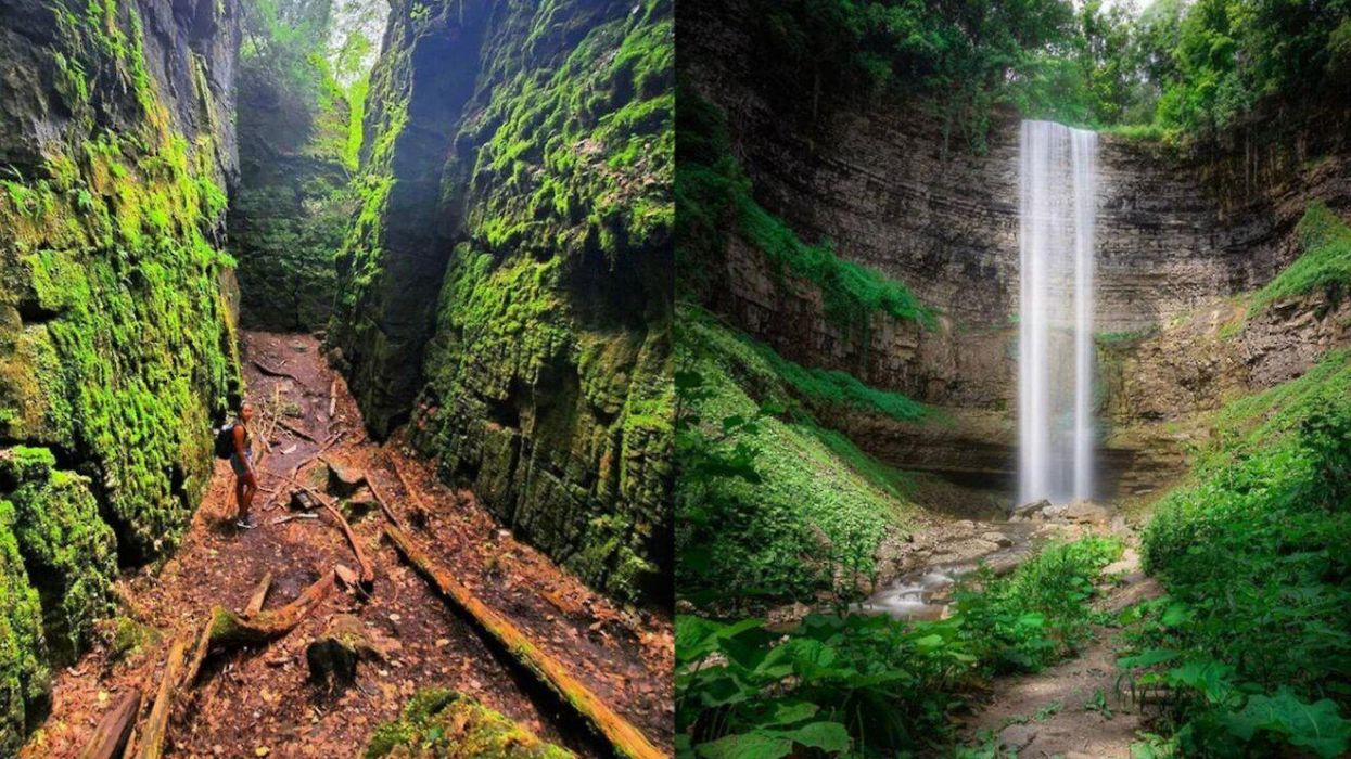 8 Lush Forest Trails Near Toronto That Will Make You Feel Like You're Lost In Costa Rica