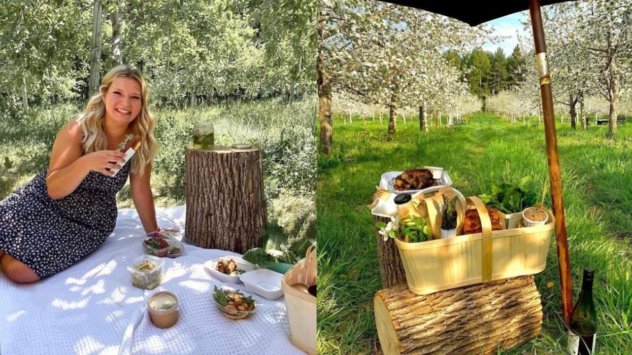 Tu peux faire des pique-niques épiques dans ce verger près de Montréal cet été