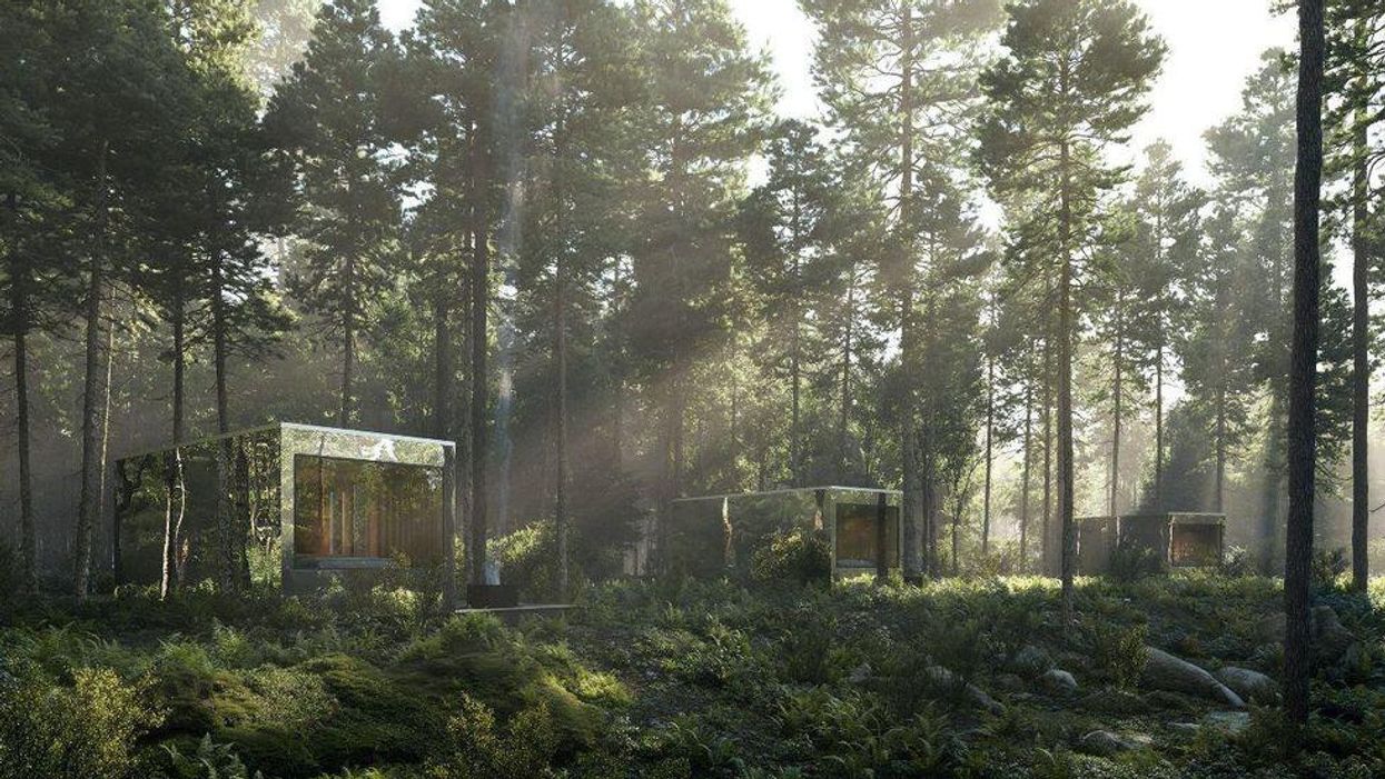 You Can Sleep In 'Invisible' Cabins Hidden In A Secret Forest Near Toronto This Summer