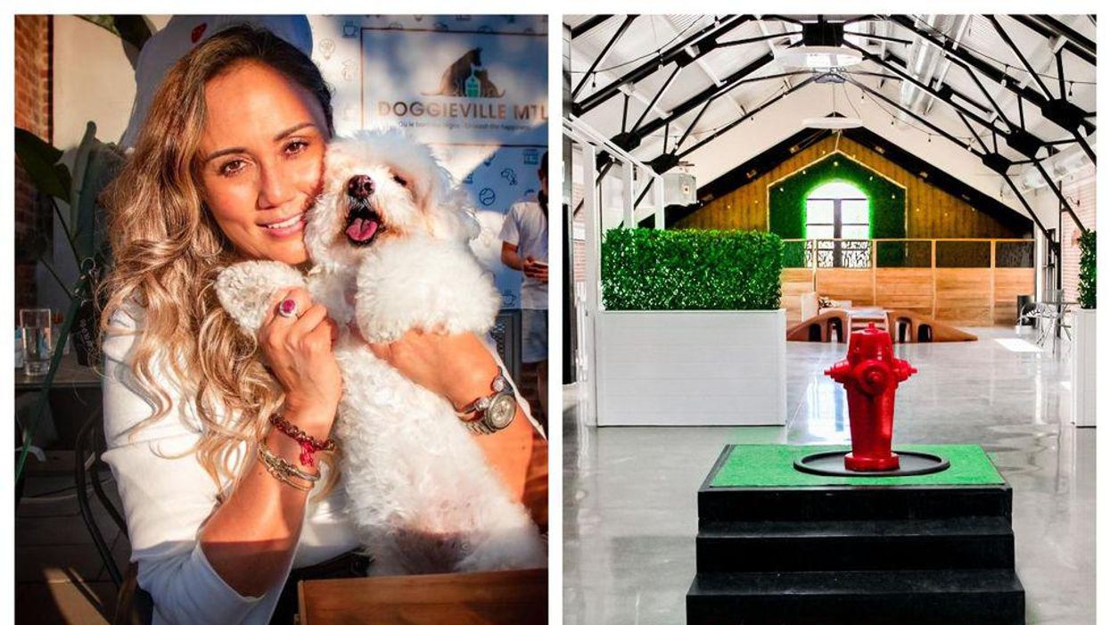 Tu pourras «bruncher» avec ton chien dans ce café à Montréal et ça ouvre ce mois-ci