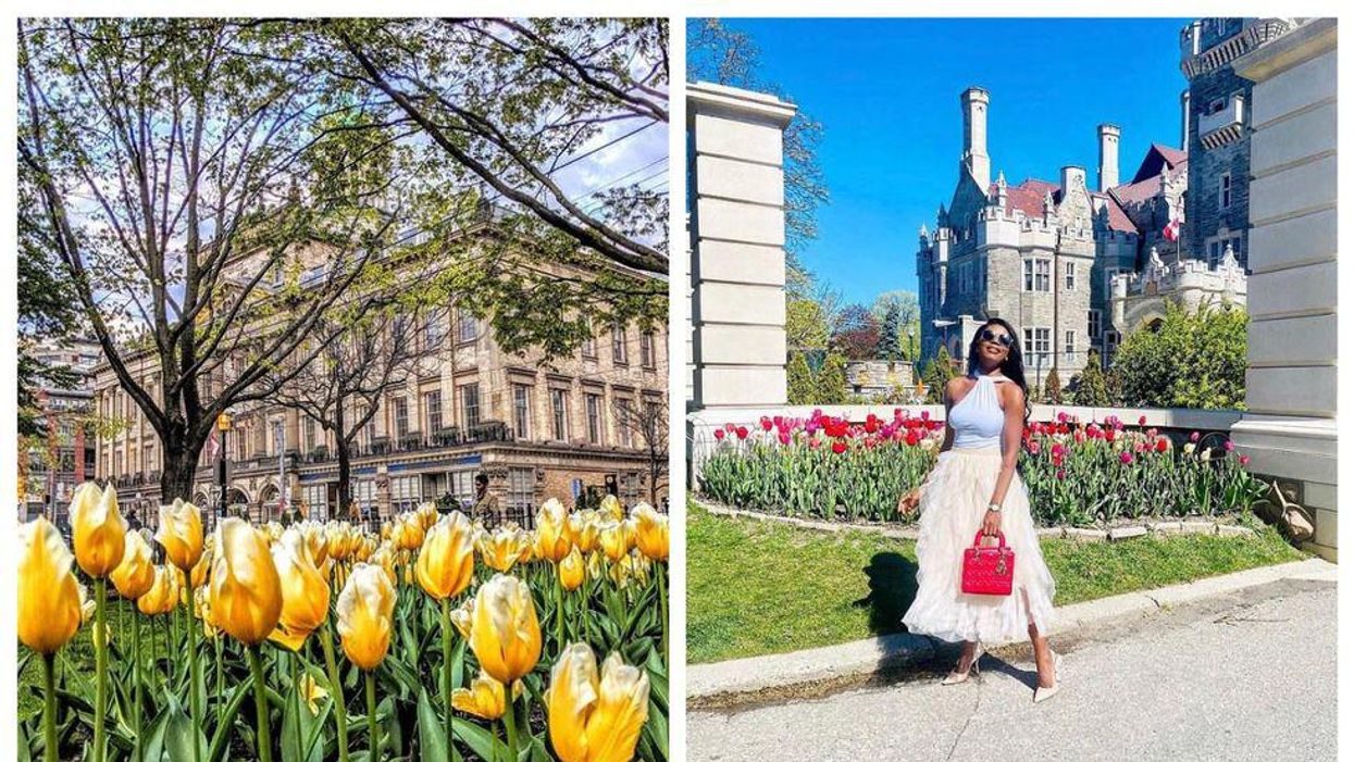 6 Colourful Spots To See Tulips In Toronto Now That They're At Peak Bloom