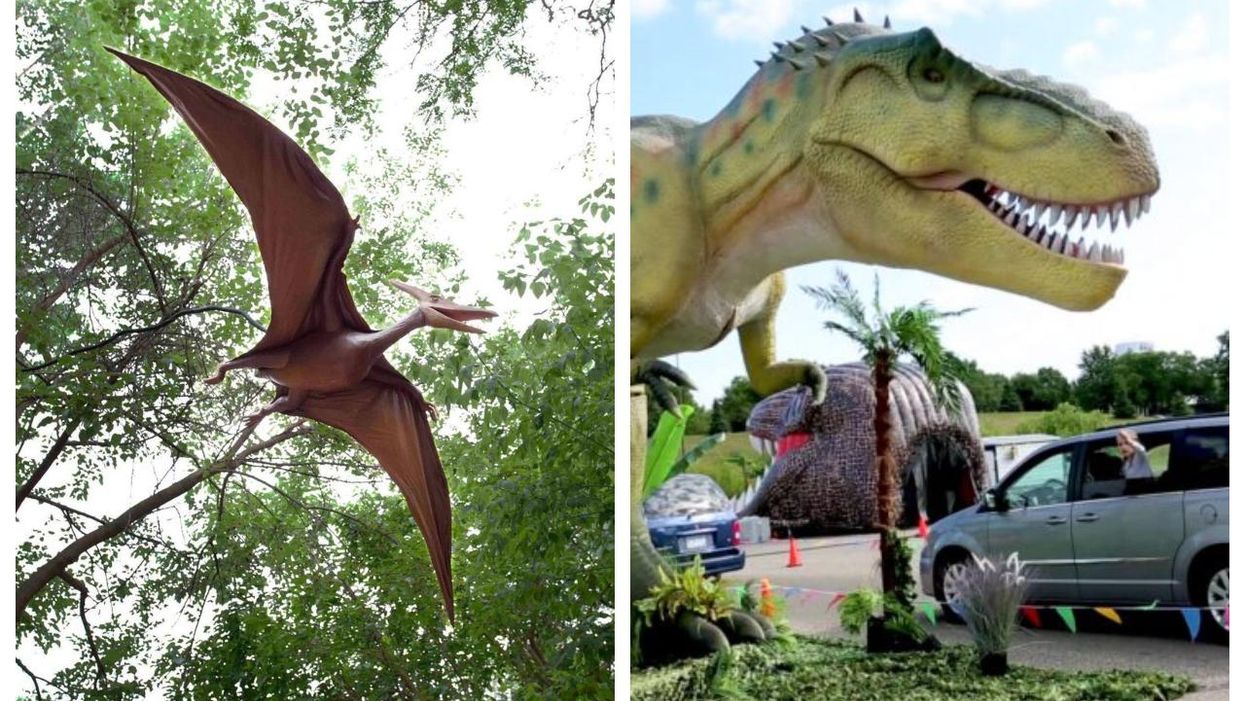 The GTA Is Getting An Immersive Dinosaur Drive-Thru & You Can Visit This June