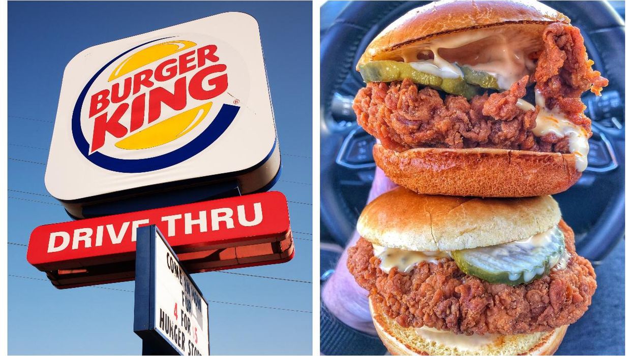 Here's How You Can Get A Free Nashville Hot Crispy Chicken Sandwich From Burger King Canada