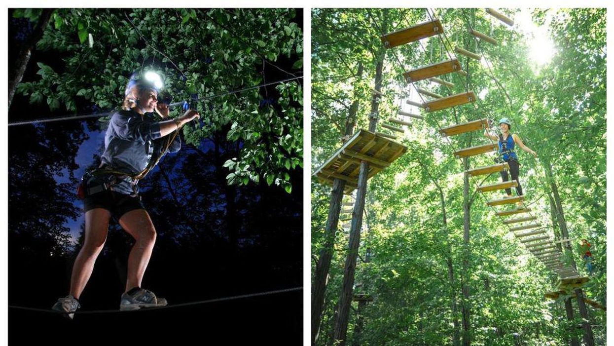 Ontario's Treetop Adventures Are Back & You Can Climb Through A Starlit Forest
