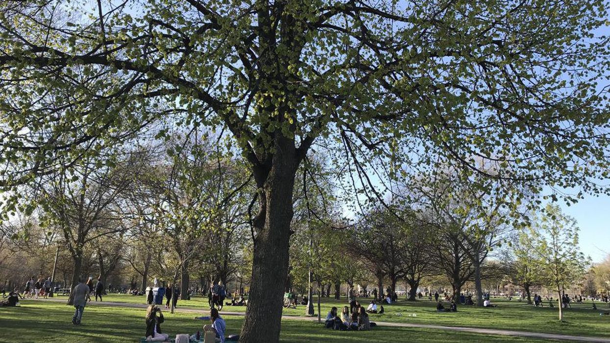 You'll Finally Be Able To Gather With 9 Friends Outdoors Starting This Weekend