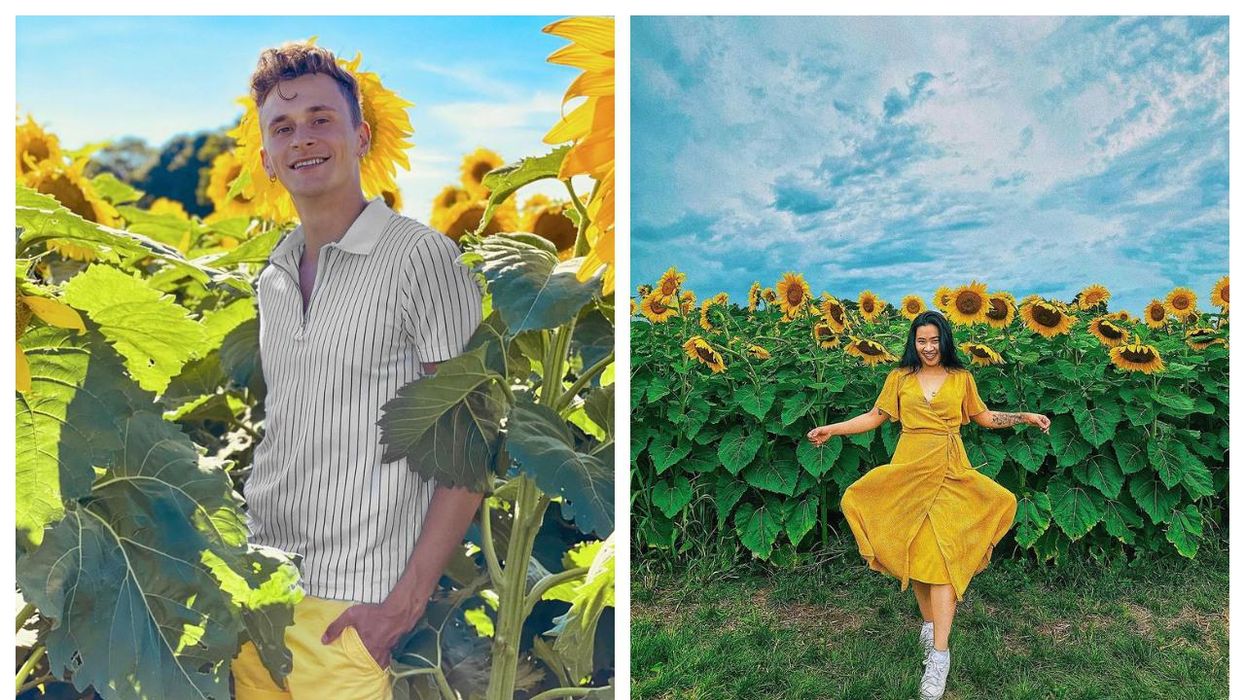 This Sunflower-Shaped Trail Near Toronto Will Take You Through Thousands Of Golden Blooms