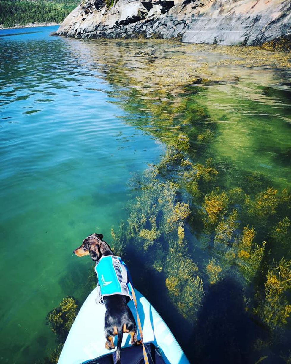 Eau bleu turquoise au Québec ? La BaiedesRochers a une plage secrète
