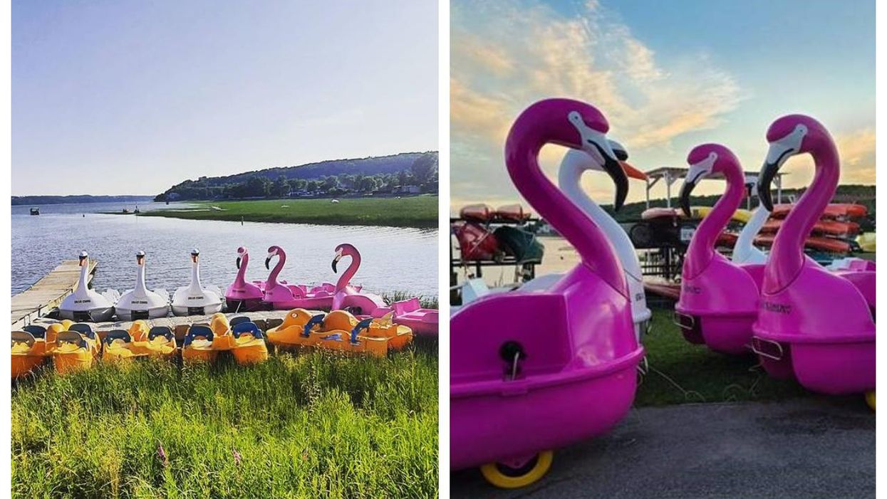 Tu peux faire une balade gratuite dans un pédalo en forme de flamant rose à Québec