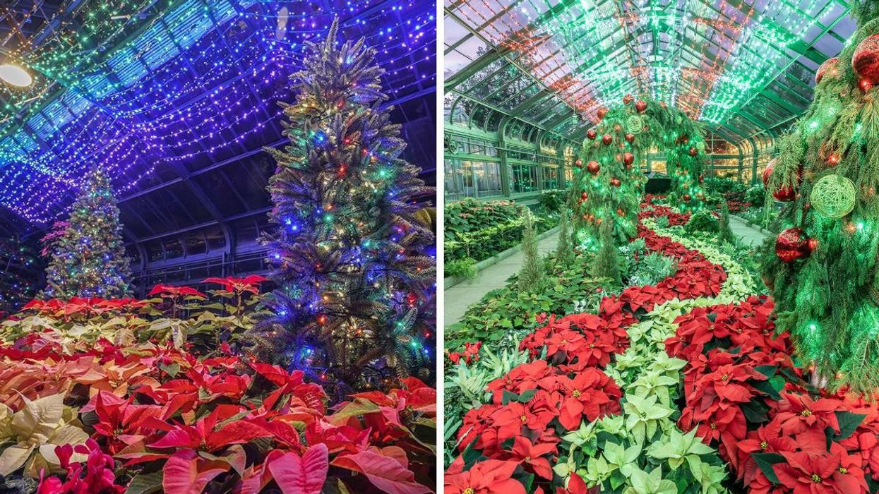 Niagara's Christmas Garden Is Full Of Twinkling Poinsettias & It's Like A Trip To Whoville