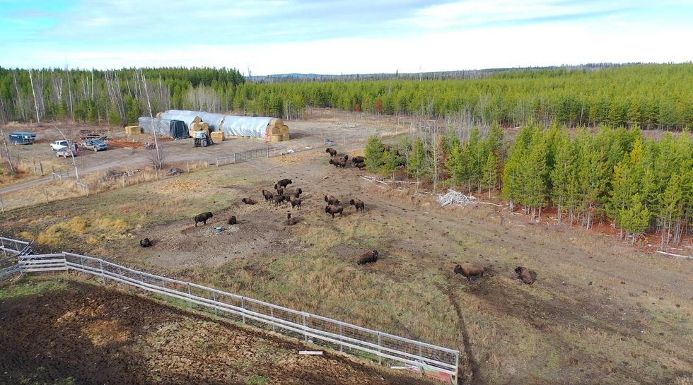 This Ranch For Sale In The Boonies Of BC Comes With 61 Bisons & So Much