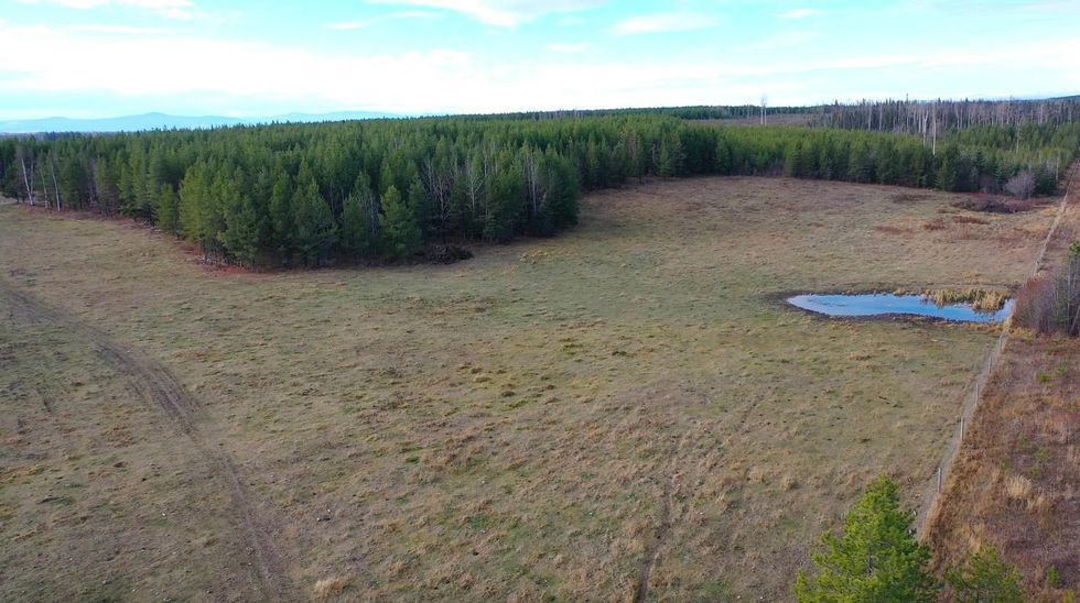 This Ranch For Sale In The Boonies Of BC Comes With 61 Bisons & So Much