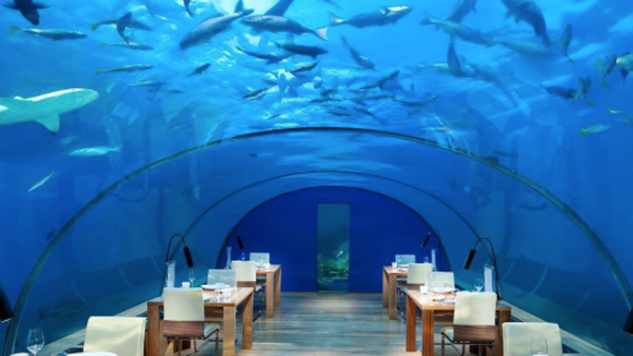 Cool restaurants hot sale