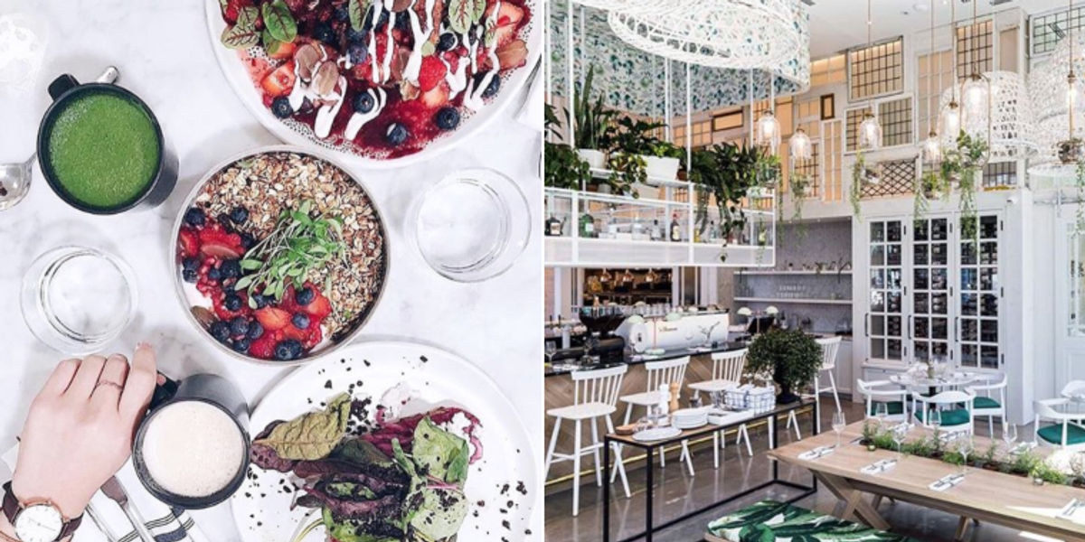 Le populaire resto vegan LOV débarque enfin sur la RiveSud de Montréal Narcity Le populaire resto vegan LOV débarque enfin sur la RiveSud de Montréal Narcity