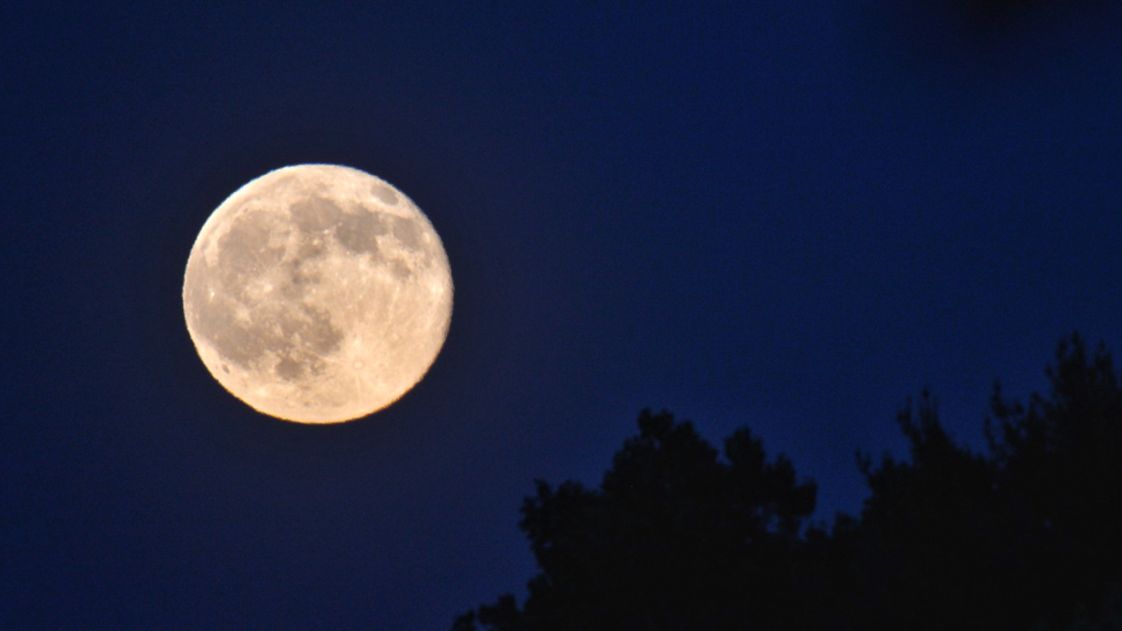 A Full Strawberry Moon Is Rising Over Canada This Week & It Will Be A Delicious Sight