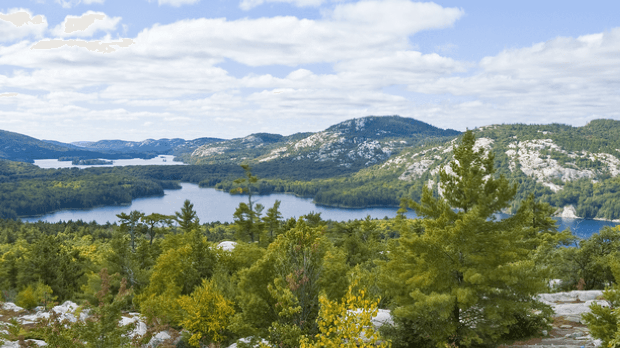 Ontario Just Announced Free Admission To All Provincial Parks On Canada Day
