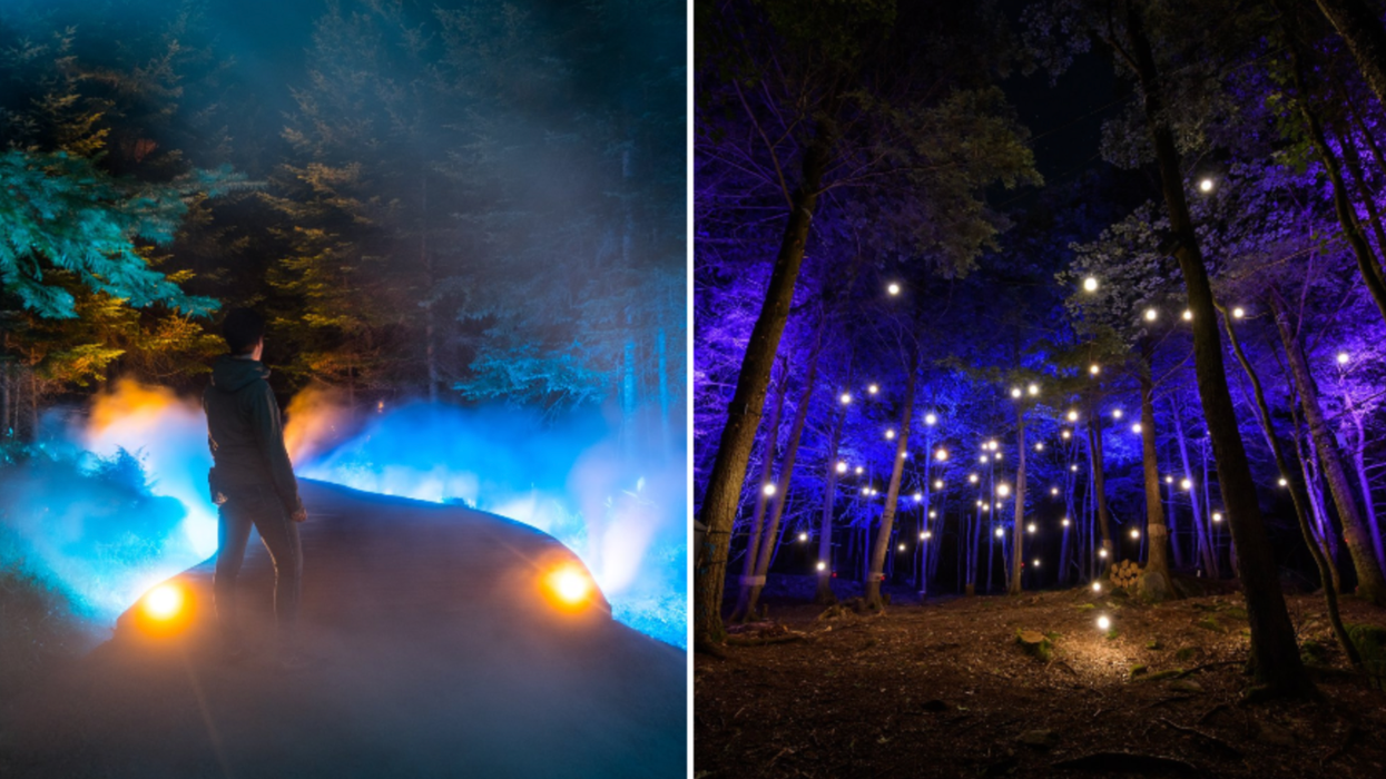 Ce sentier illuminé en foret au Québec est de retour cet été et il y a un rabais de 25 %