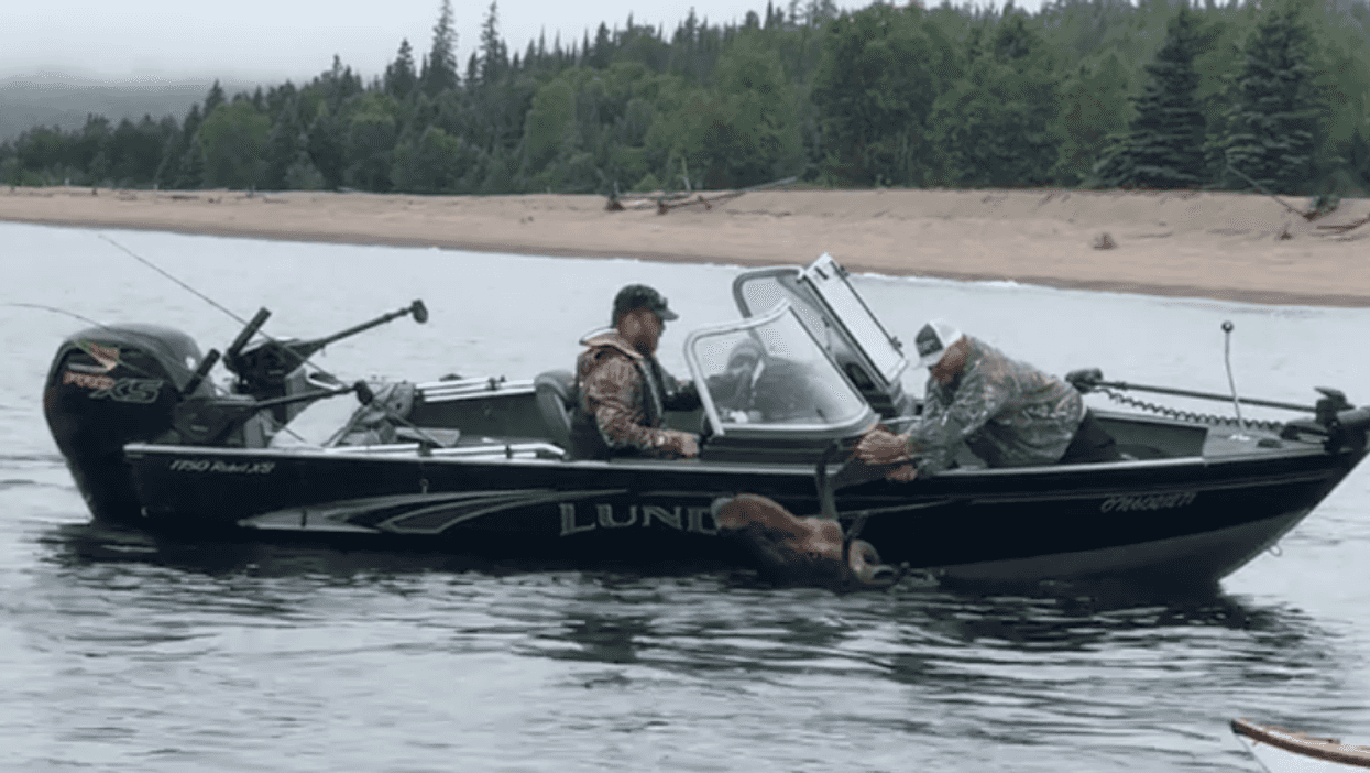 An Ontario Man Saved A Moose Drowning In A Lake & It Was So Intense (VIDEO)